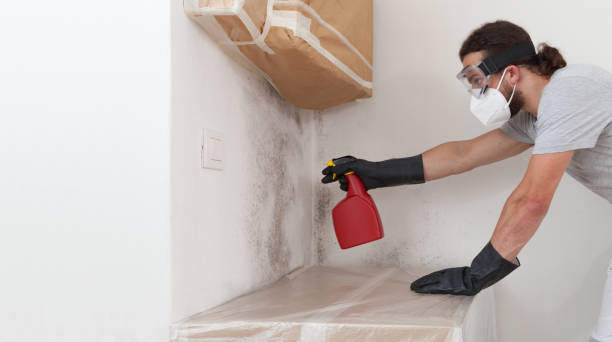 Professional Bathroom Mold Removal technician working in Livingston, TX
