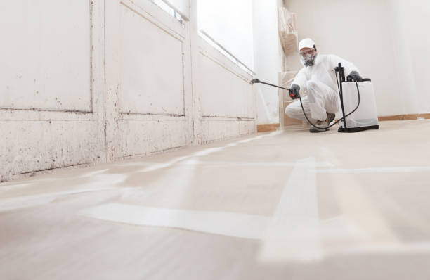 24/7 Emergency Bathroom Mold Removal experts in Livingston, TX